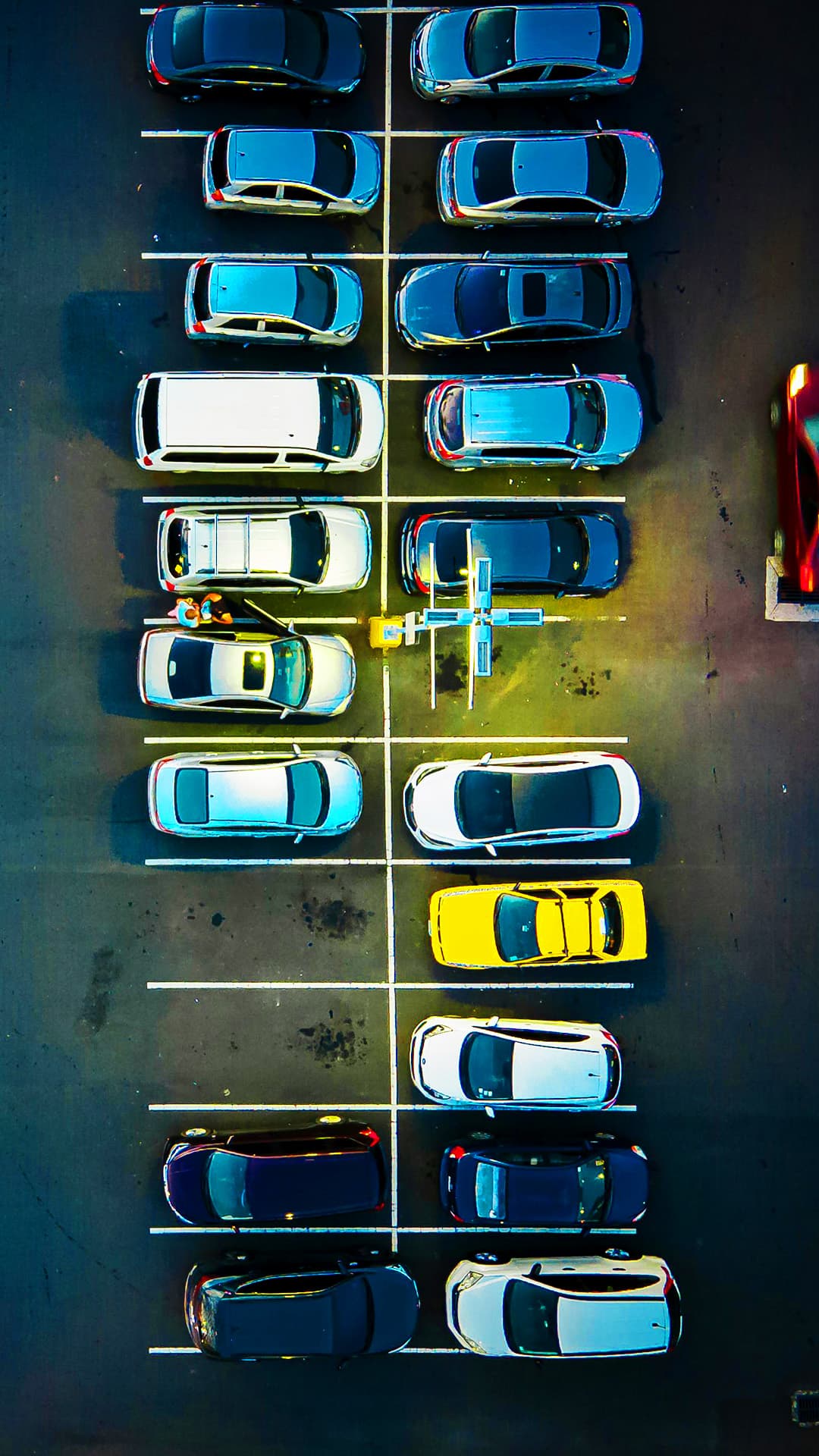 Bali Mutia Rental Car – Google Ads