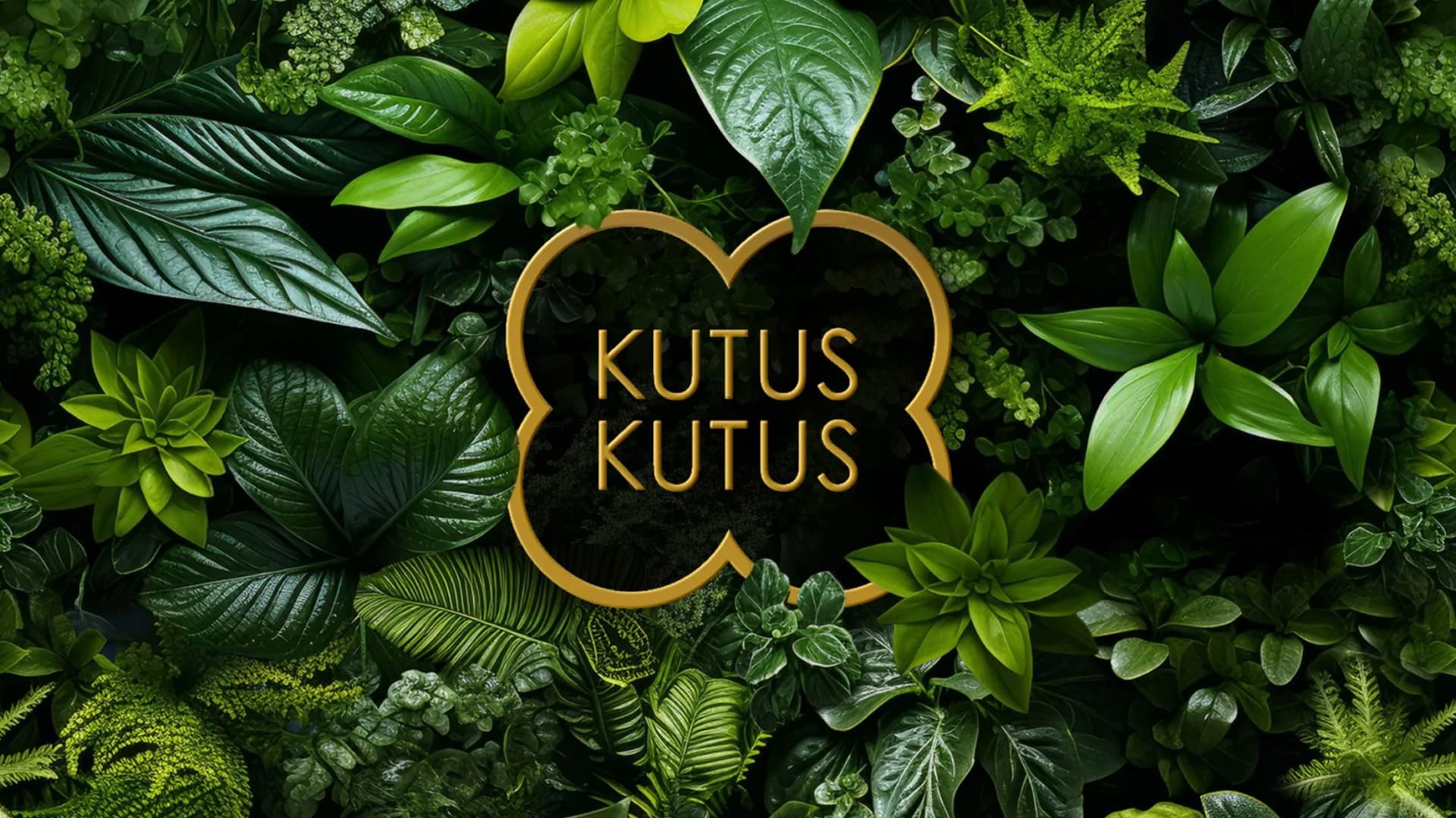 Kutus – Kutus Healing Oil – DM